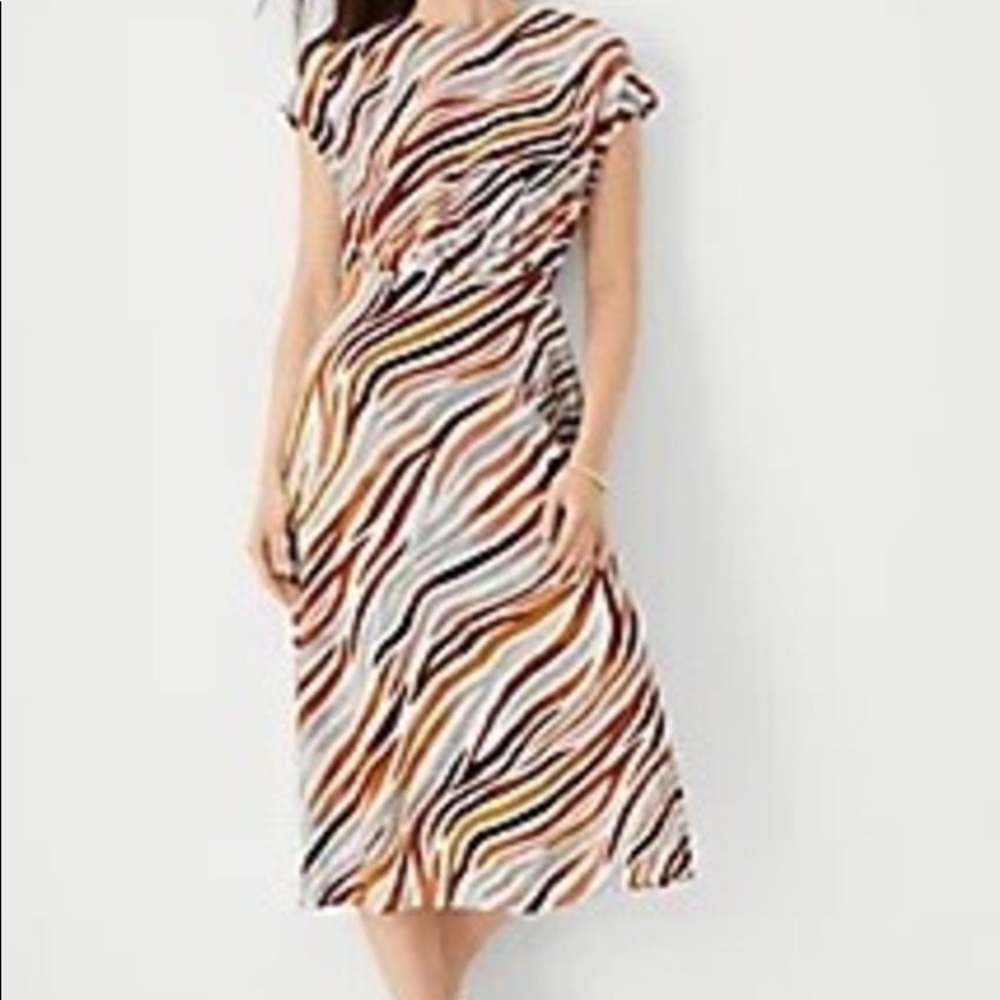 Ann Taylor Colorful Zebra dress 10P NWOT